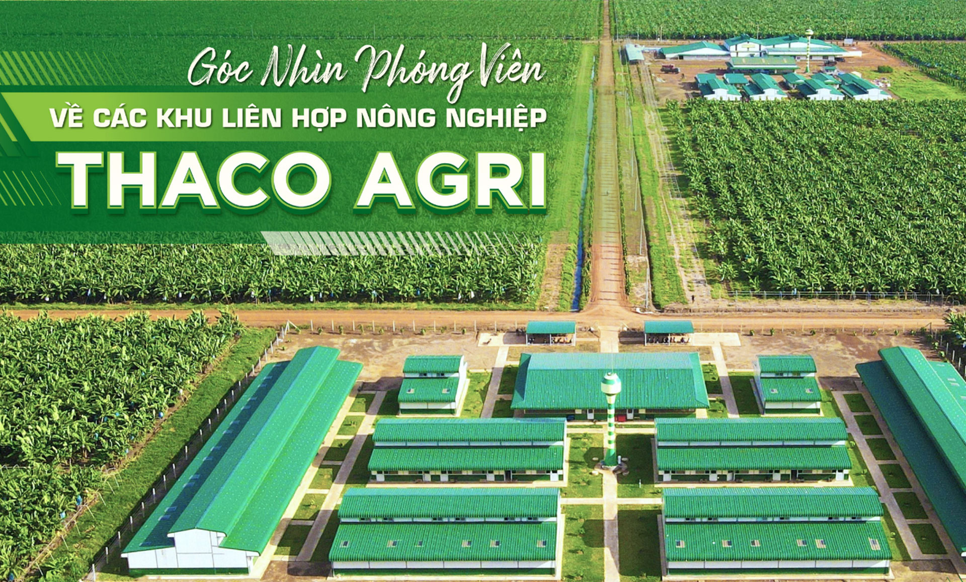 Góc nhìn phóng viên về các Khu liên hợp Nông nghiệp THACO AGRI