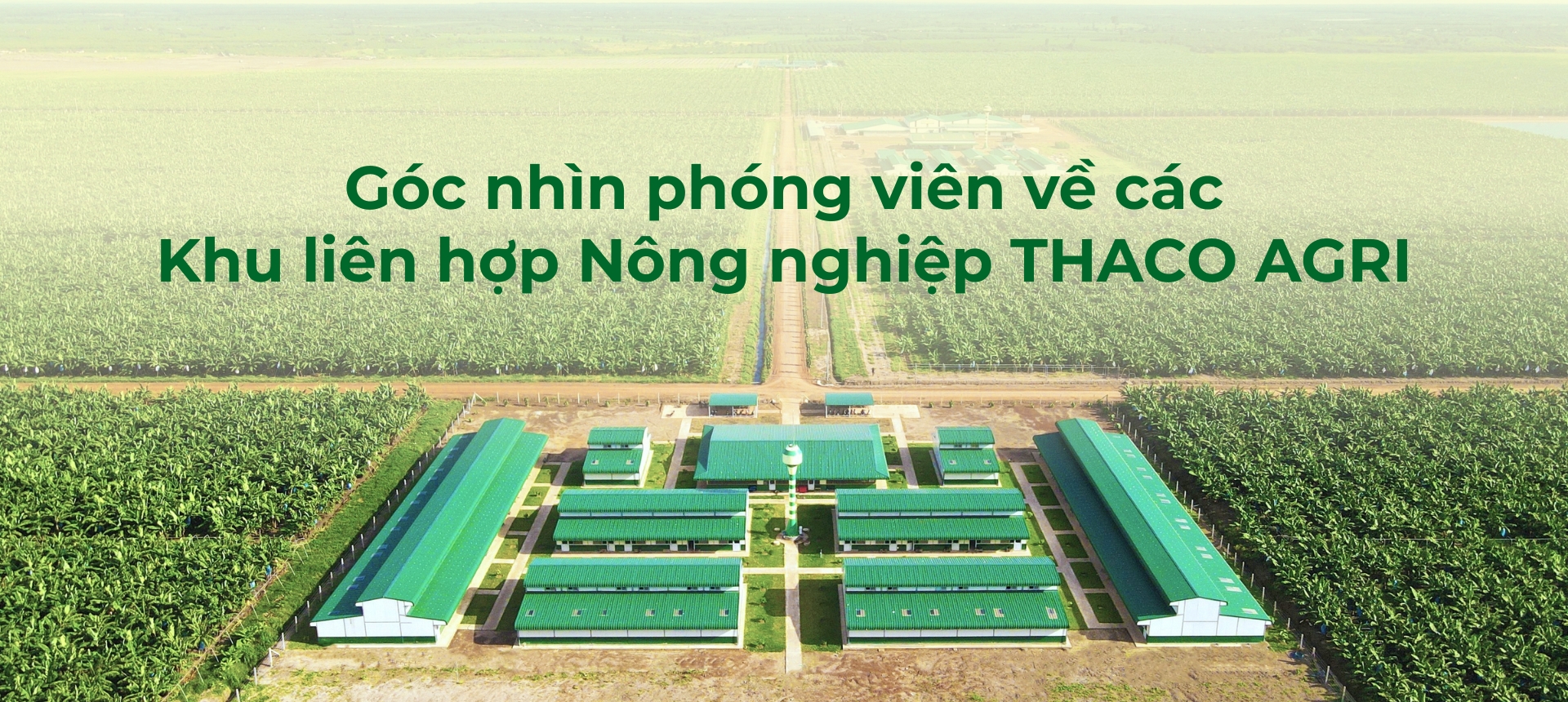 Góc nhìn phóng viên về các Khu liên hợp Nông nghiệp THACO AGRI