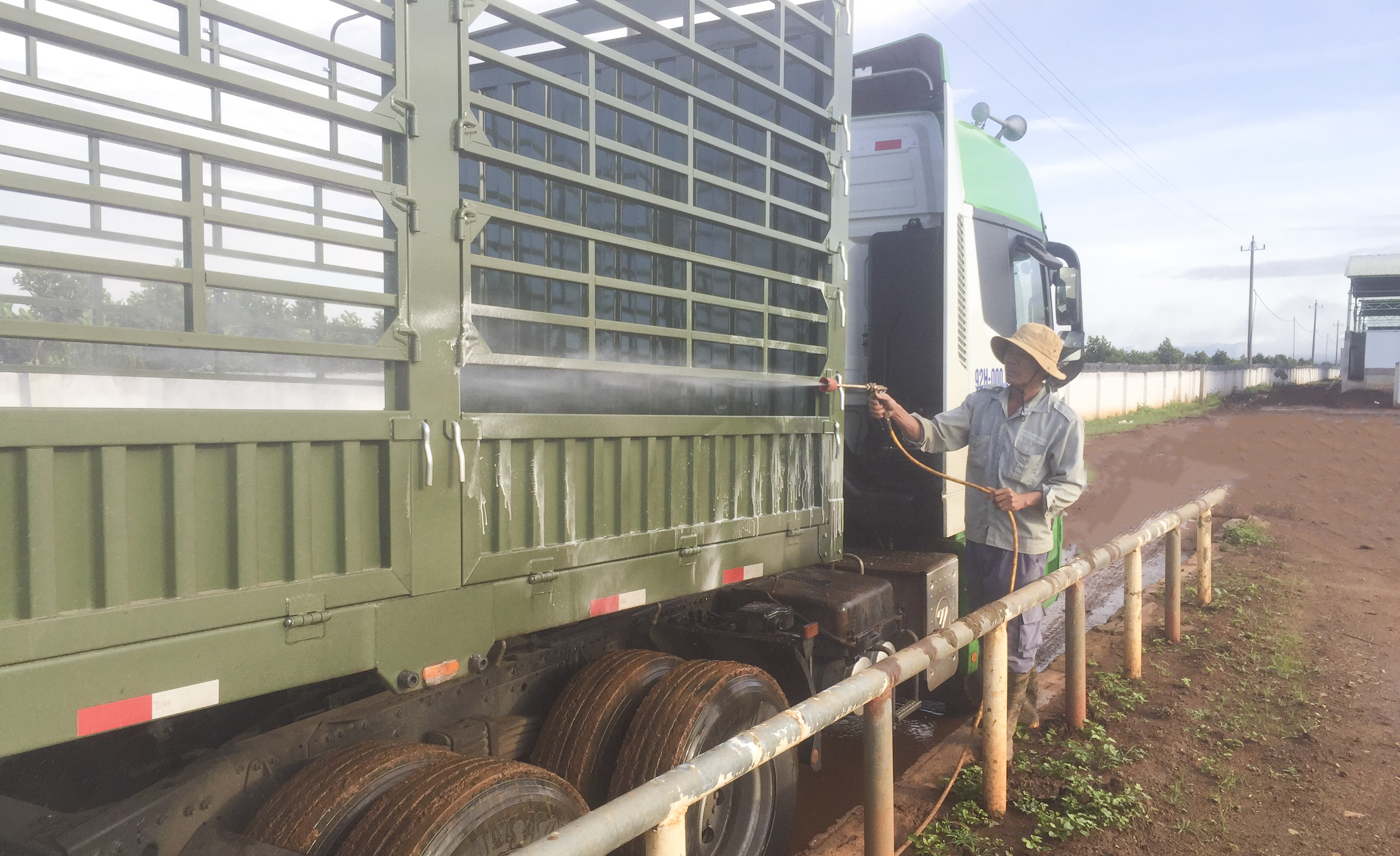 4. Khử trùng, khử khuẩn trước khi đưa bò lên xe.jpg