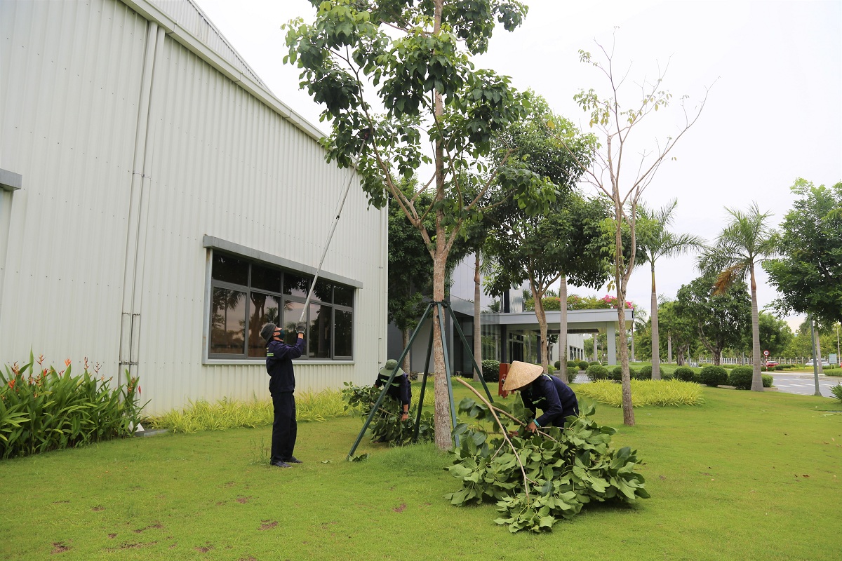 5. Cắt tỉa cây xanh trước cơn bão số 5 năm 2021 edit.jpg