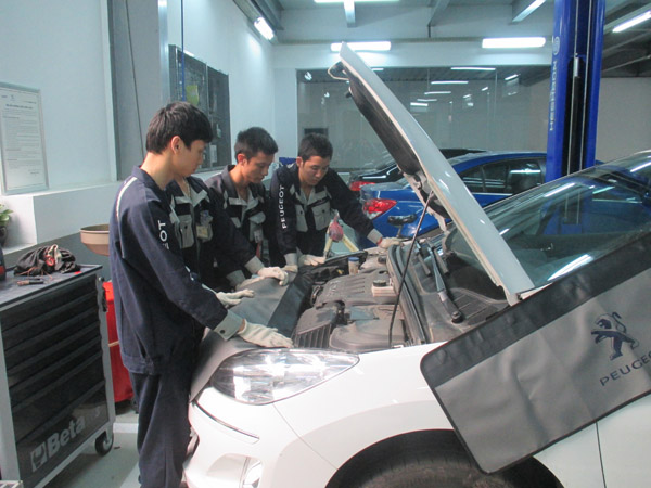 Dao_tao_Peugeot_1.jpg