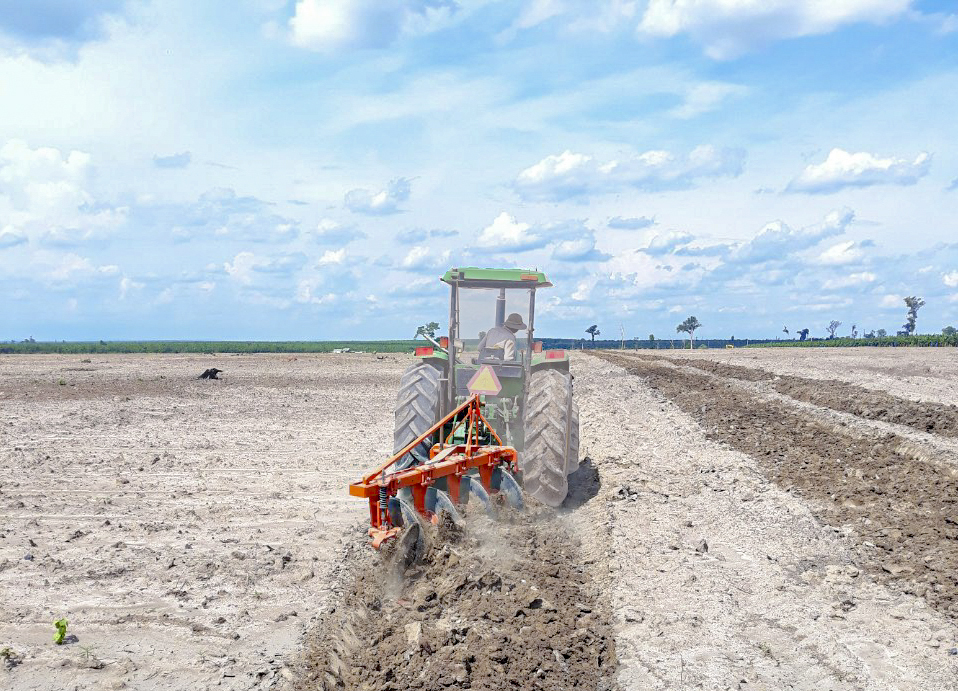 Dàn cày chảo.jpg