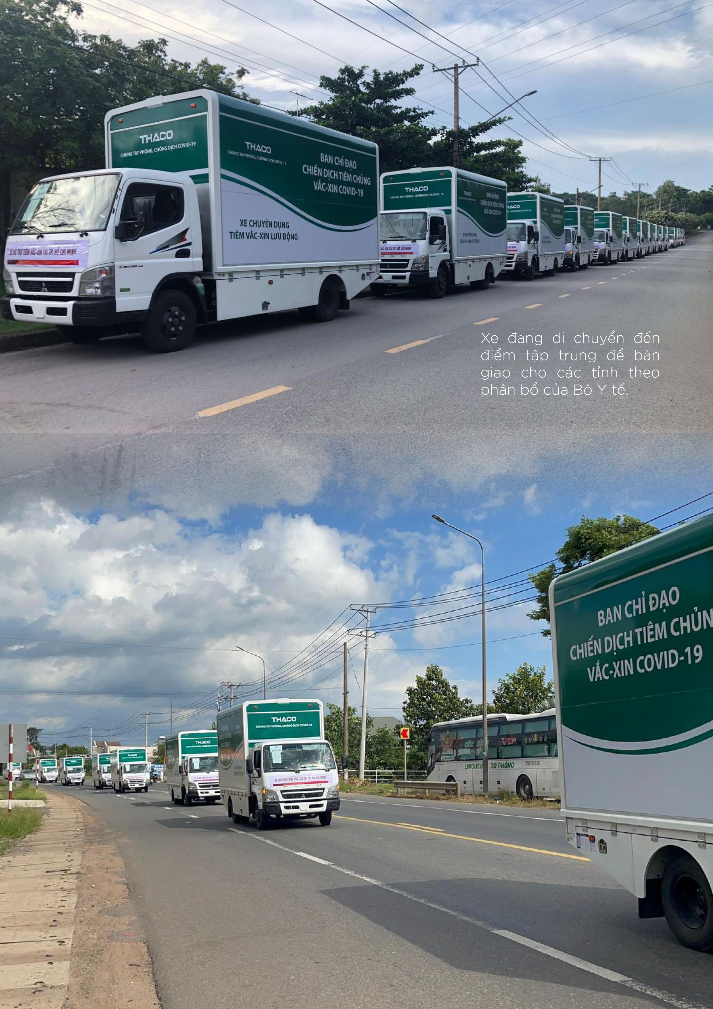 imgpsh_fullsize_anim (2).jpg