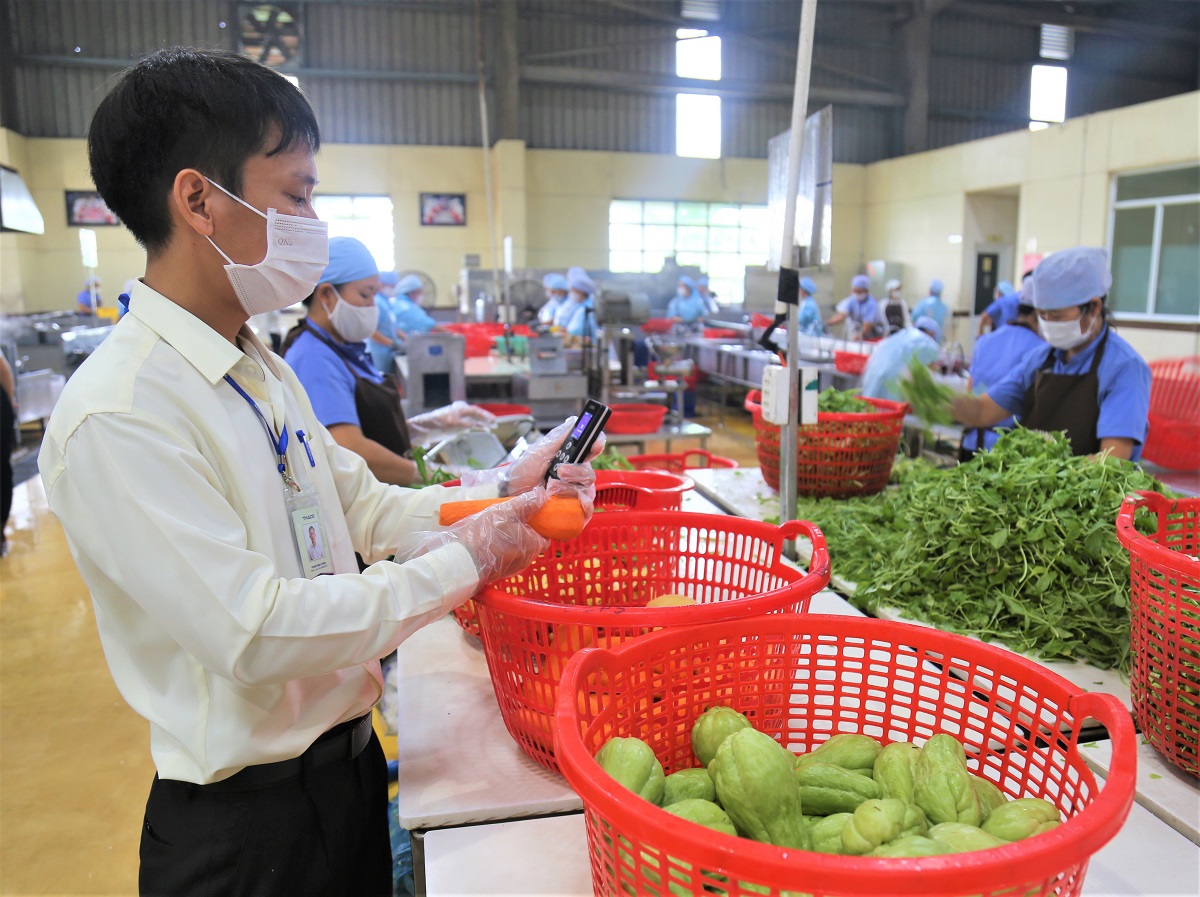 7. Anh Phan Đình Chiến đang kiểm tra dư lượng nitrat trong nguyên liệu đầu vào-edit.jpg