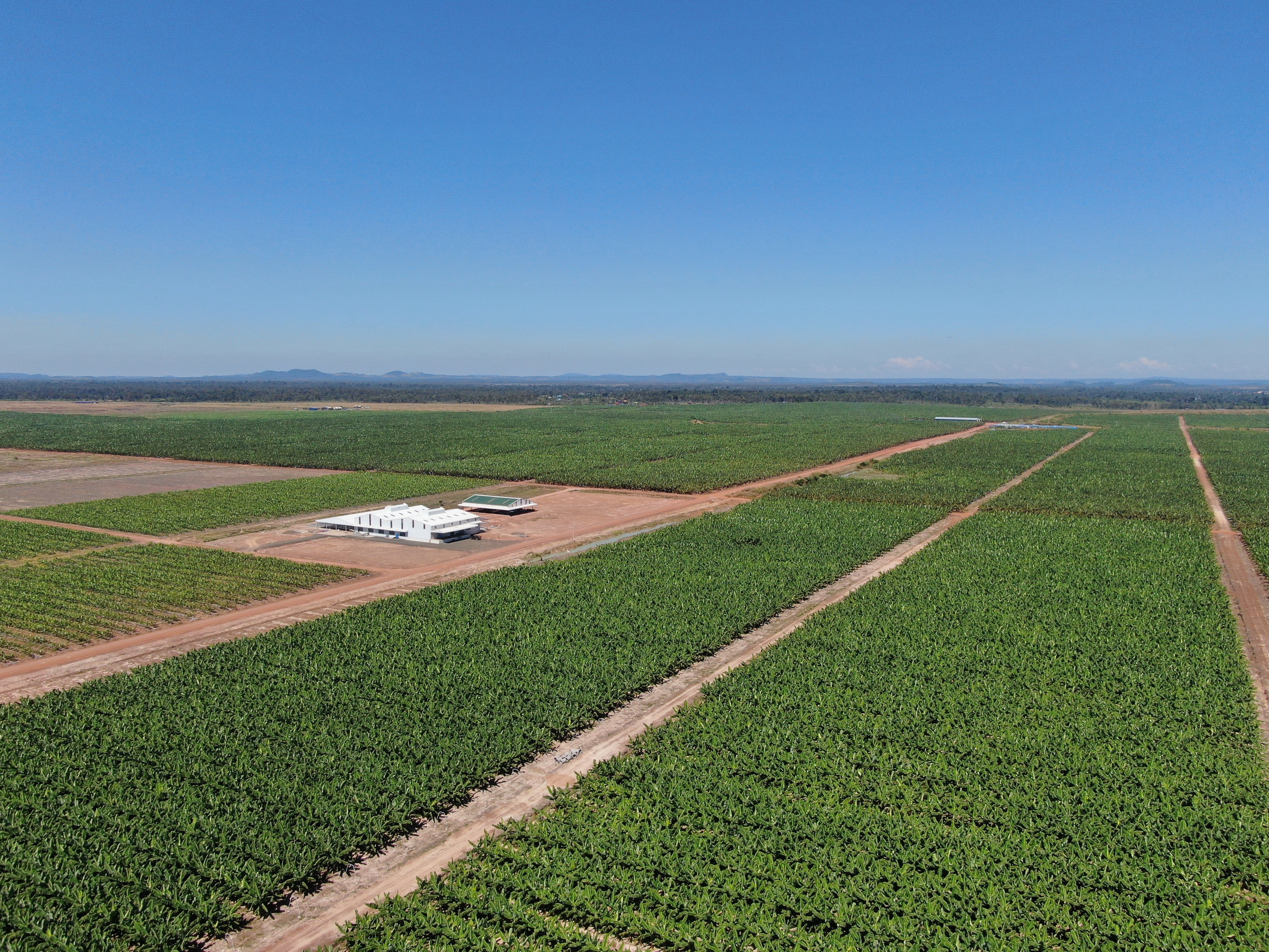 imgpsh_fullsize_anim (1).jpg