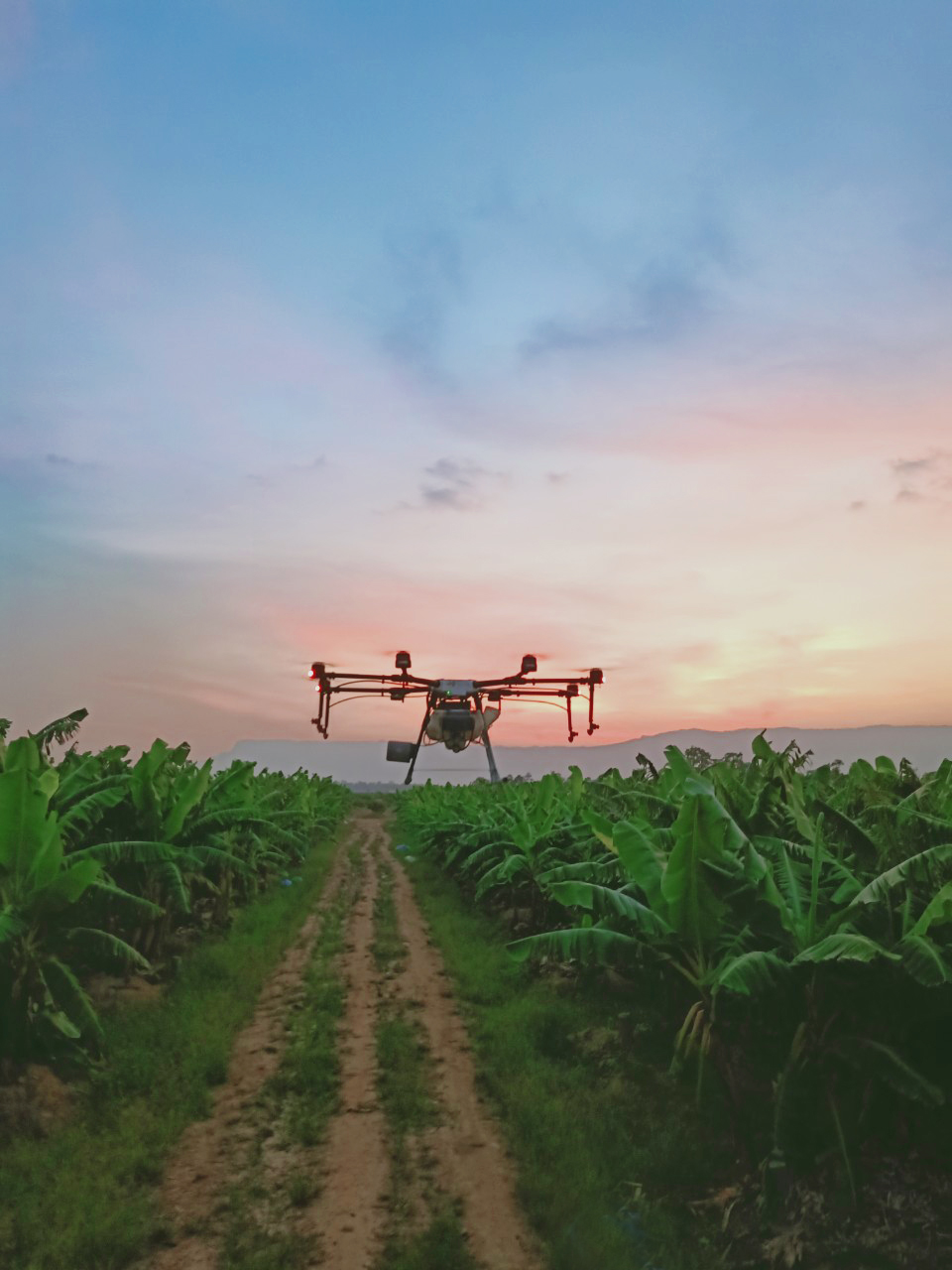 3.Drone phun thuốc 1.jpg