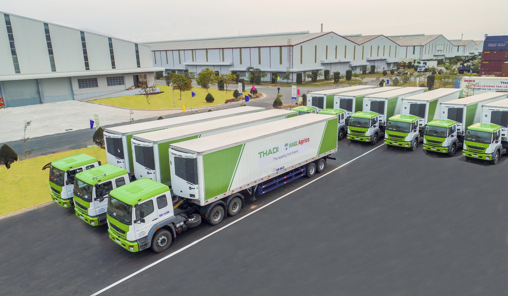 Hình 1. Đội xe vận chuyển nông sản.jpg