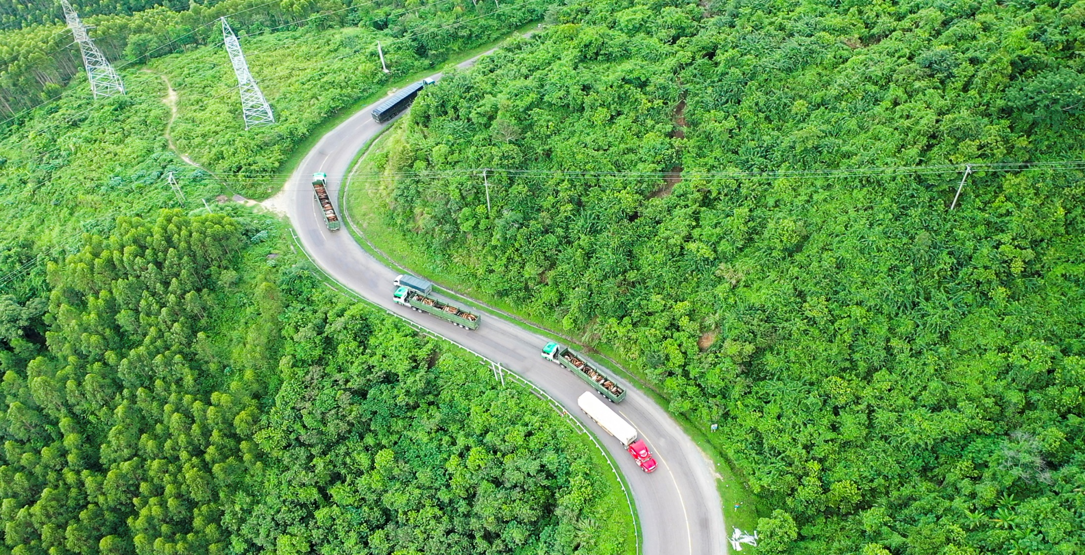 Hinh 7. Đội xe vận chuyển gia súc từ cảng Quy Nhơn về Gia Lai.jpg