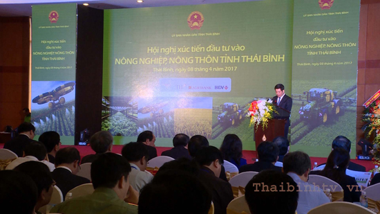 thaibinhnn3_copy.jpg