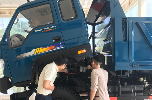 trung bay forland (6).jpg