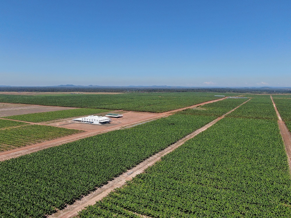 1. Flycam nông trường 1.jpg