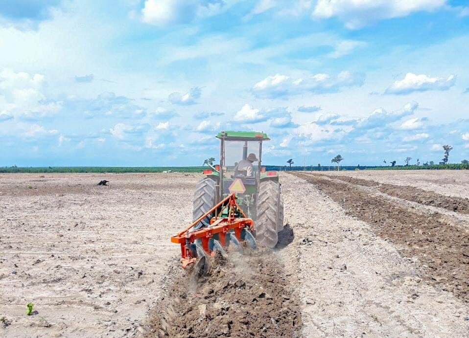 imgpsh_fullsize_anim (1).jpg