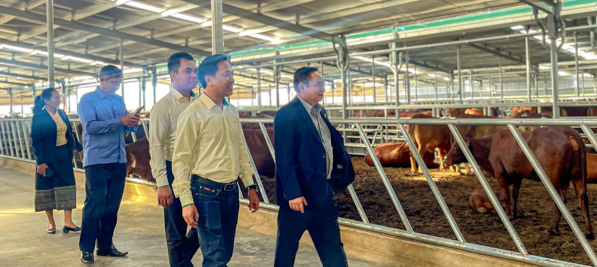 Attapeu Provincial People's Council delegation visits HAGL AGRICO Laos Complex