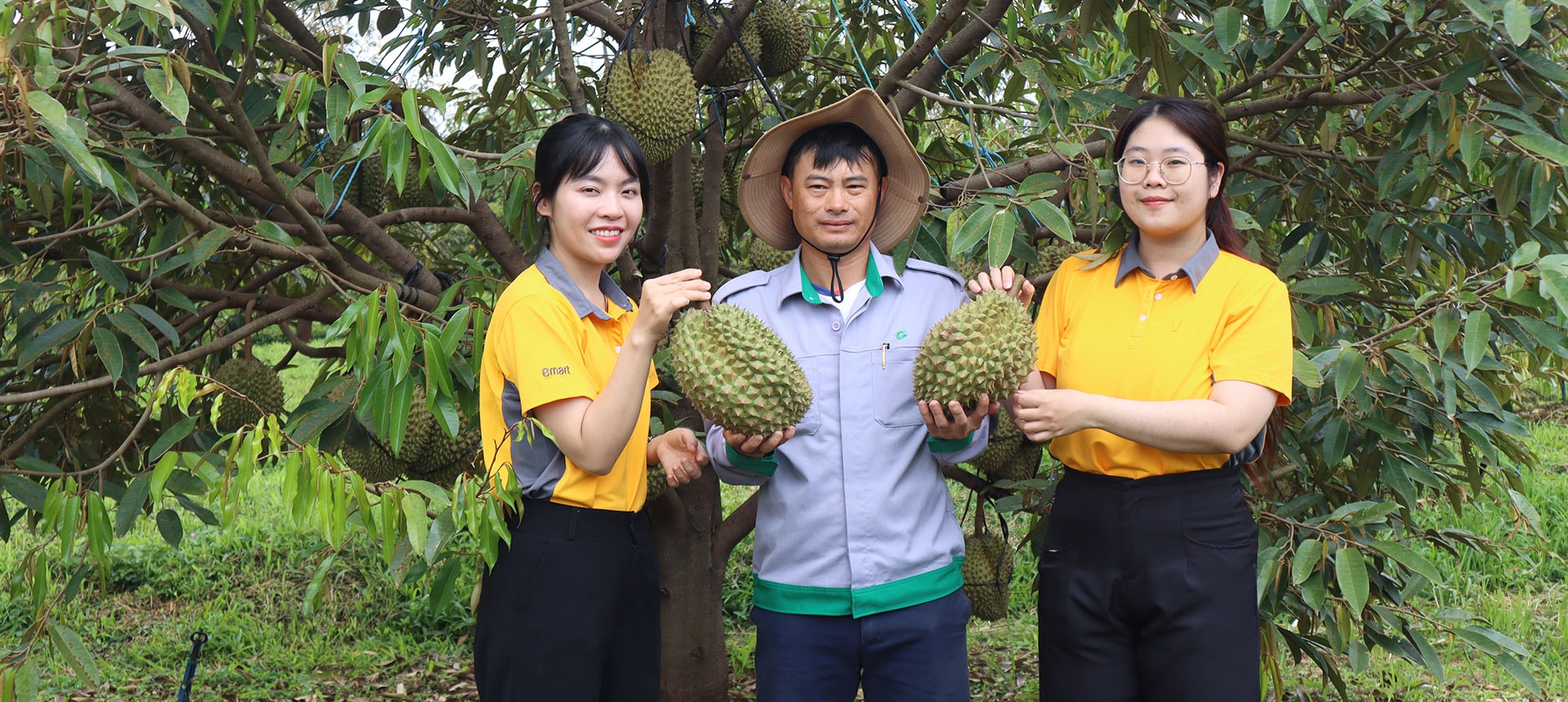 THISO and THACO AGRI bring high-quality agricultural products to Emart